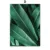 Green Lake Mountain Forest Banana Leaves Wall Art Canvas Painting Nordic Posters And Prints Wall Pictures For Living Room Decor 9