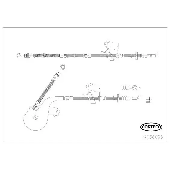 Шланг тормозной пер. \ Citroen C5/C6 1.6-3.0/1.6-2.7HDi 05 CORTE