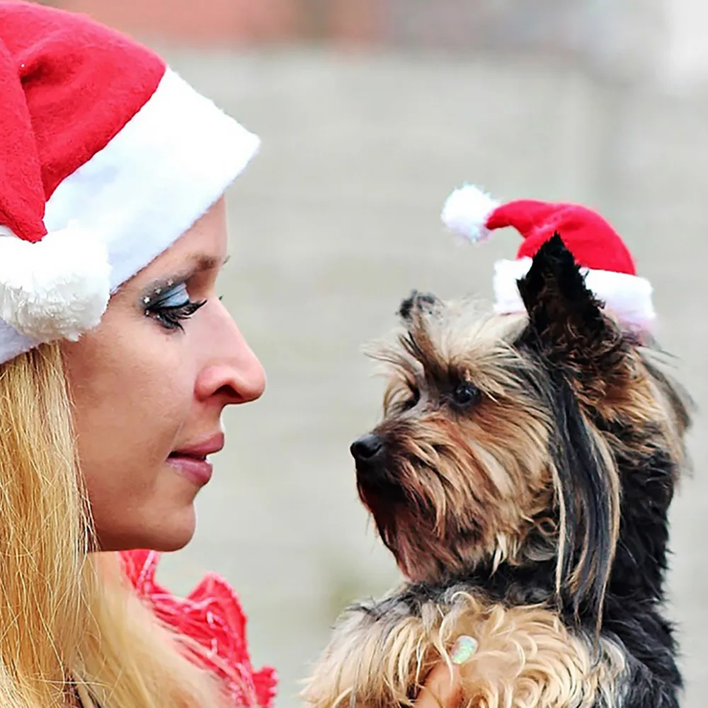 1 шт. Рождественская шляпа для животных, шапка Санта Клауса, маленькая для собак, щенков, кошек шапка-скафандр, загруженная Рождественская Милая бижутерия, высокое качество, Прямая