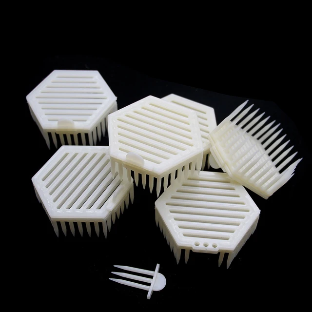 16 db Szűz Méh Ketrec Professzionális Intrudukciós Műanyag Tűcsap Típusú Queen Tenyésztő Apikultúra Szerszámok - Image 5