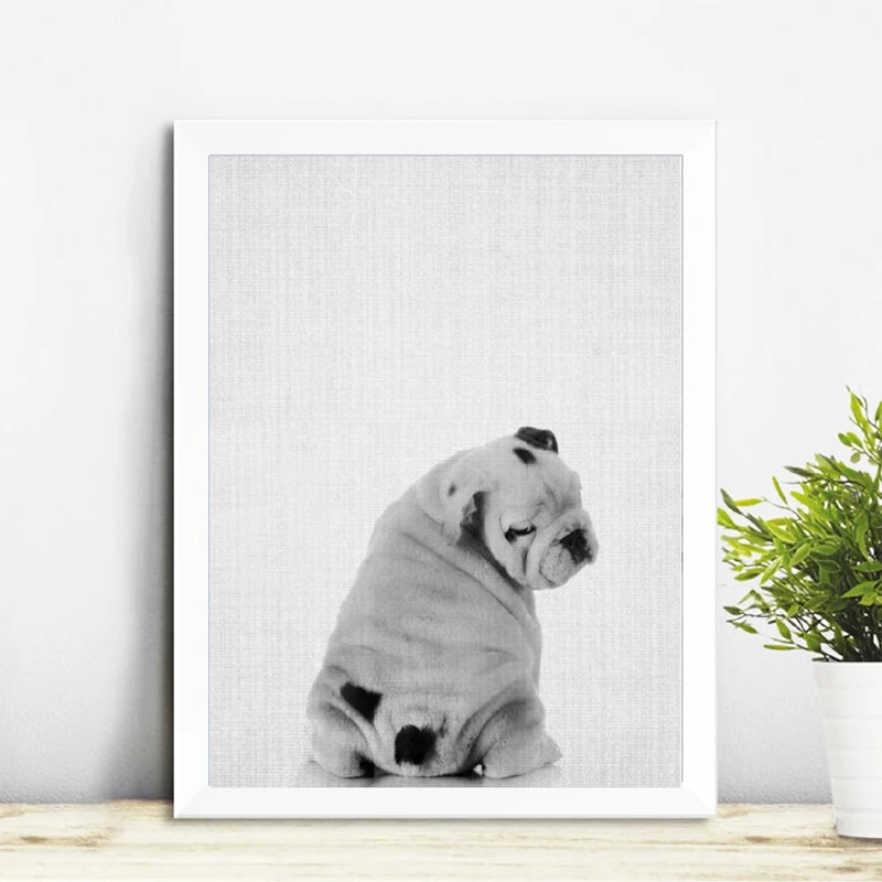 English-Bulldog-Canvas-Art-Prints-and-Poster-Fun-Pet-Dog-Butt-Photography-Canvas-Painting-Pictures-Nursery (2)