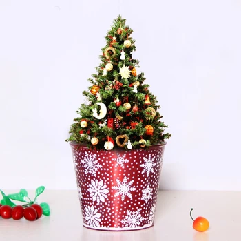 

Home Decor Balcony Planter Indoor Outdoor Decorative Metal Succulent Planter Gar