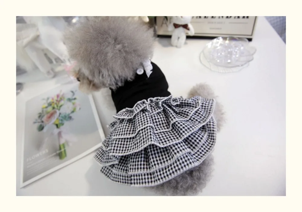 O1CN01lpTkdD219U5eDW6WW_!!323036942