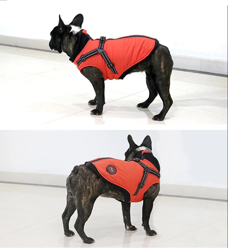 21804827991_644690080