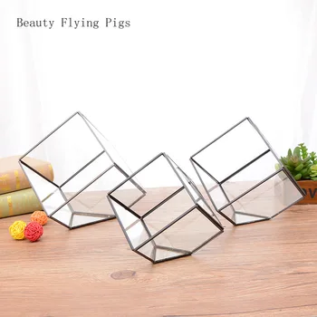 

Direct sales new meat and more eternal flower glass flower room copper edge geometric flower room black frame jewelry decoration