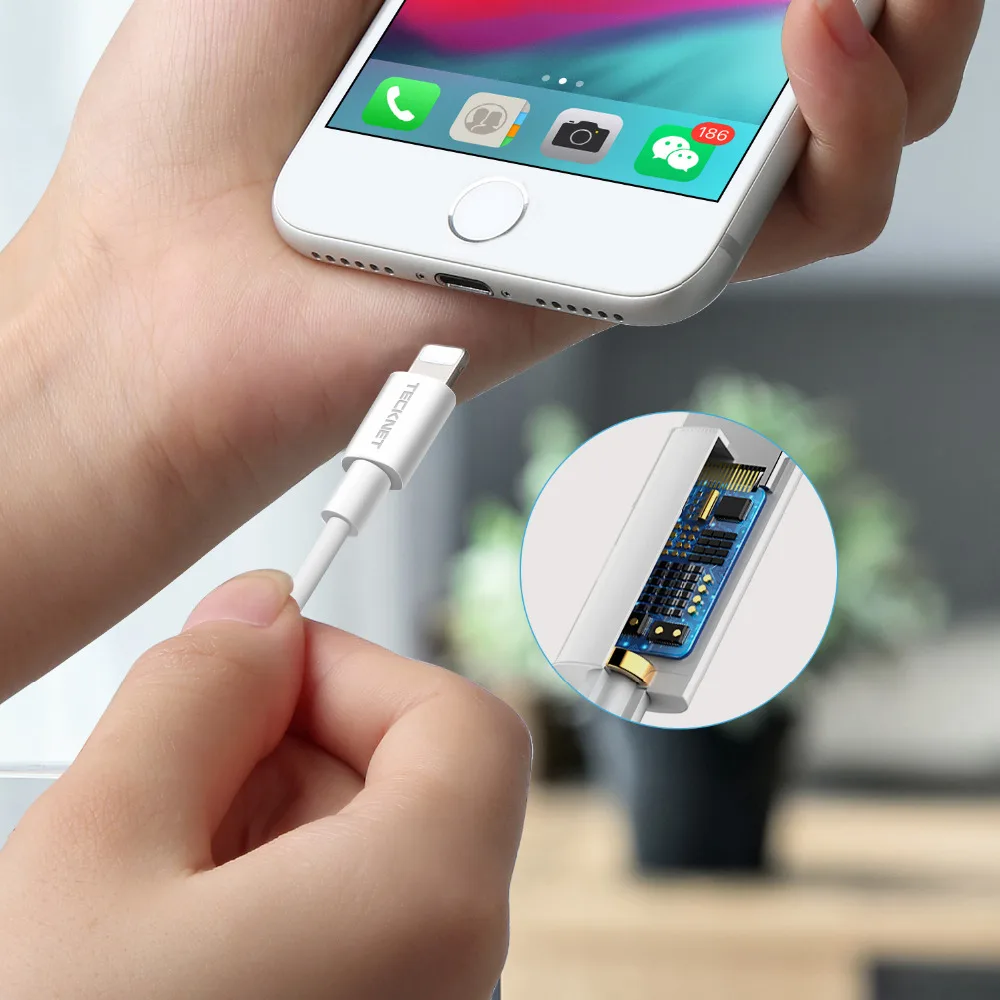 TeckNet 1 м usb-кабель для зарядки iPhone X 7 6 8 6S 5s Plus XS usb-кабель для iPad Mini IOS 12 8-контактный кабель для быстрой зарядки