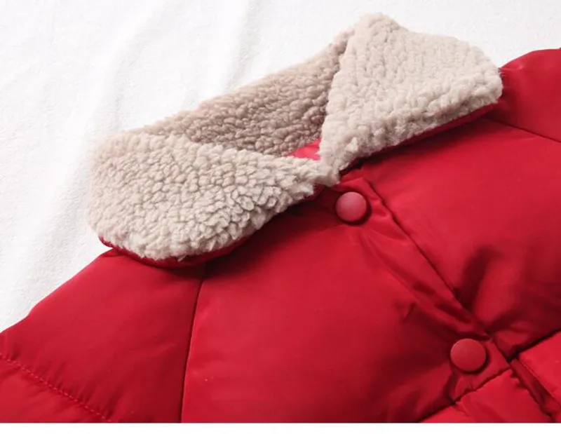 QQ截图20190816123717