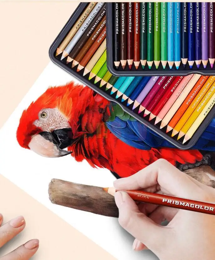 Prismacolor Colored Pencils Drawings