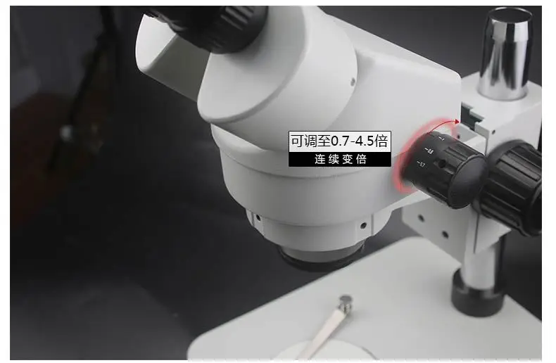 _20190109154431
