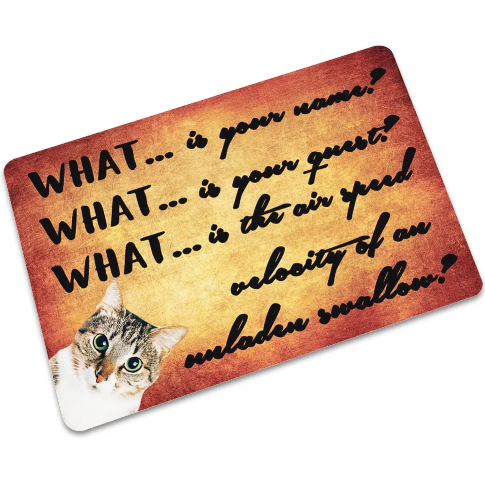 15372444351_383897006