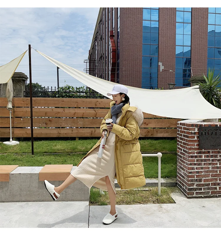 Photo Shoot New Style Best Friend Korean-style Hooded Large Fur Collar INS down Jacket Medium-length Cotton Coat WOMEN'S Co