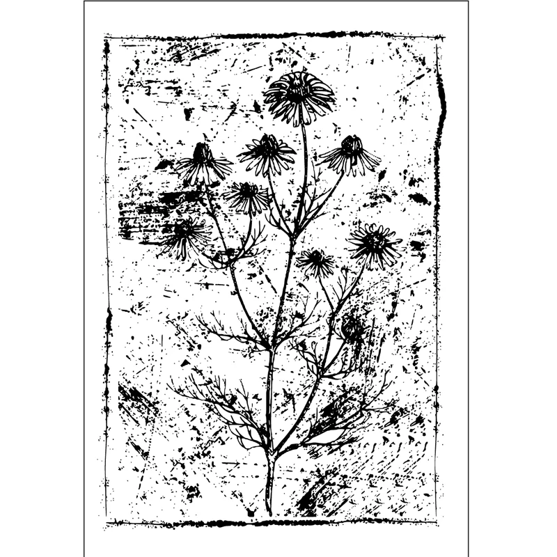 80-1