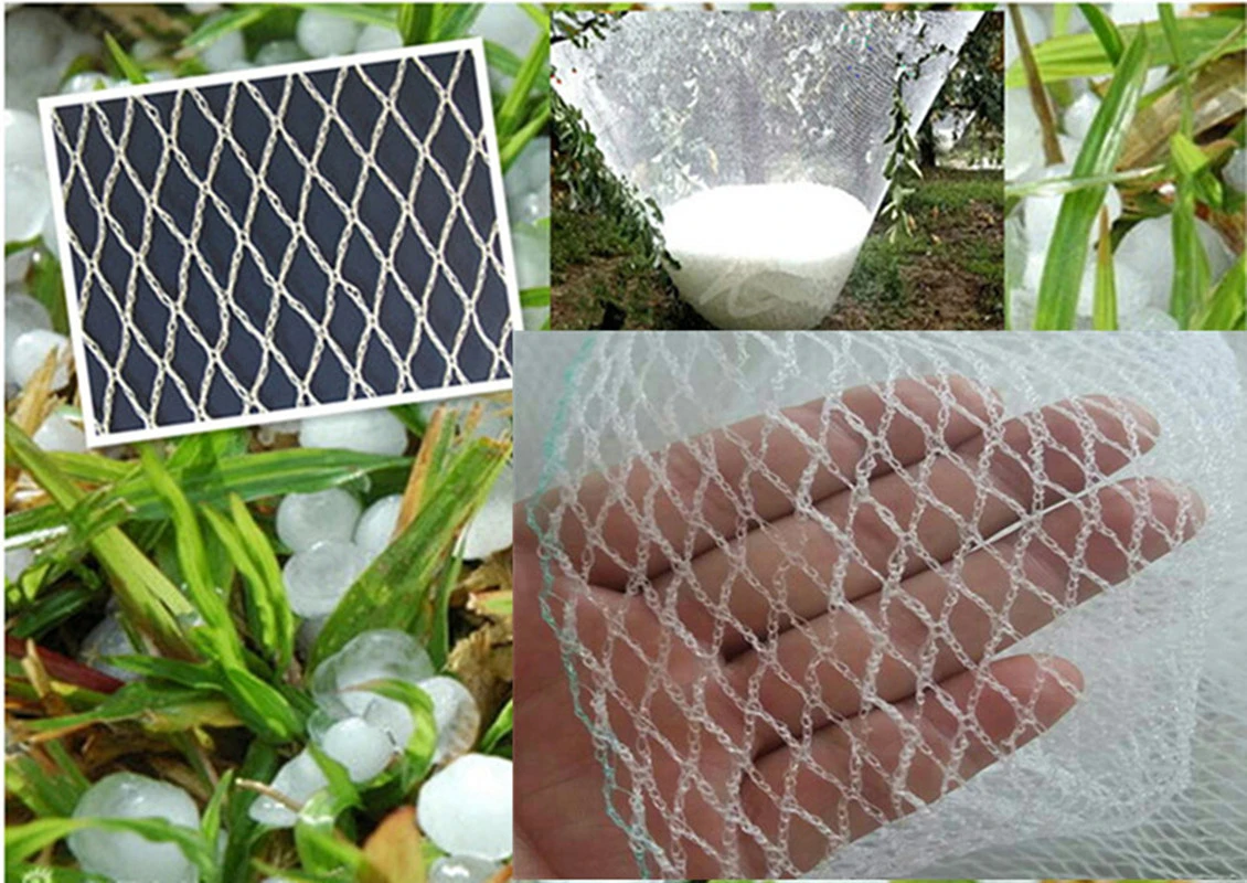 Nylon Orchard Anti Hail Netting Hail Protect Garden Netting Mesh White 8mm Net Vegetable Garden Hail Protect Netting Net Mesh Net Netnet Garden Aliexpress