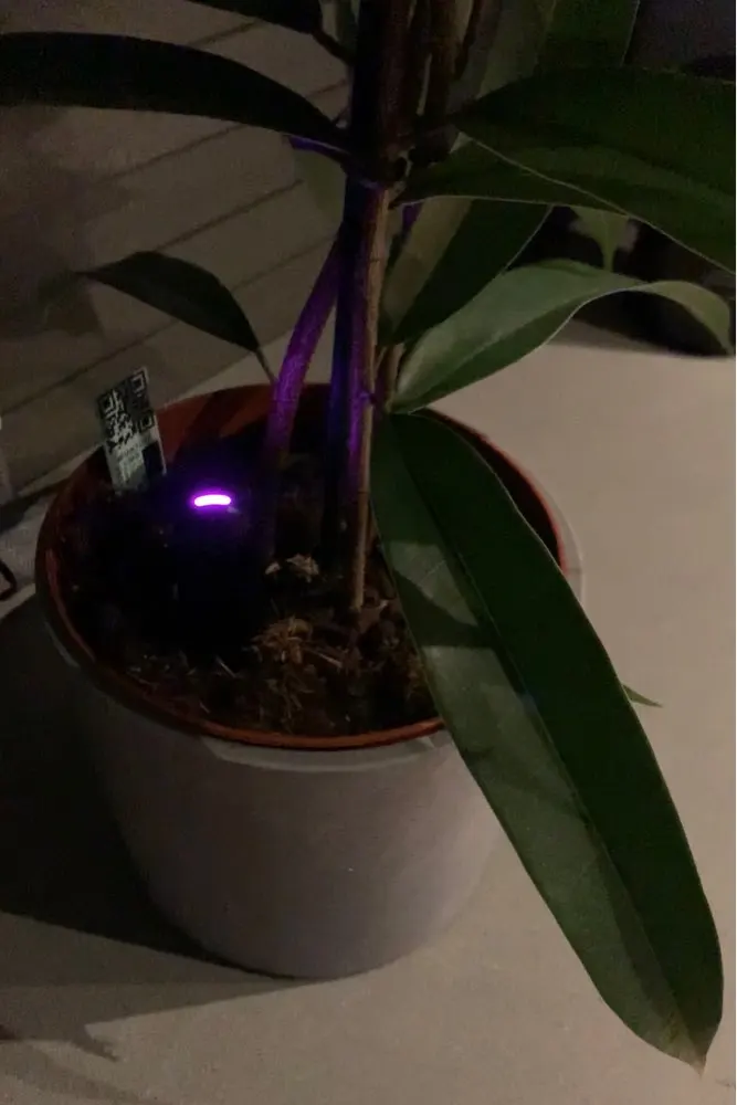 U90938244e02d4cbca81bfb83feb4ce1er