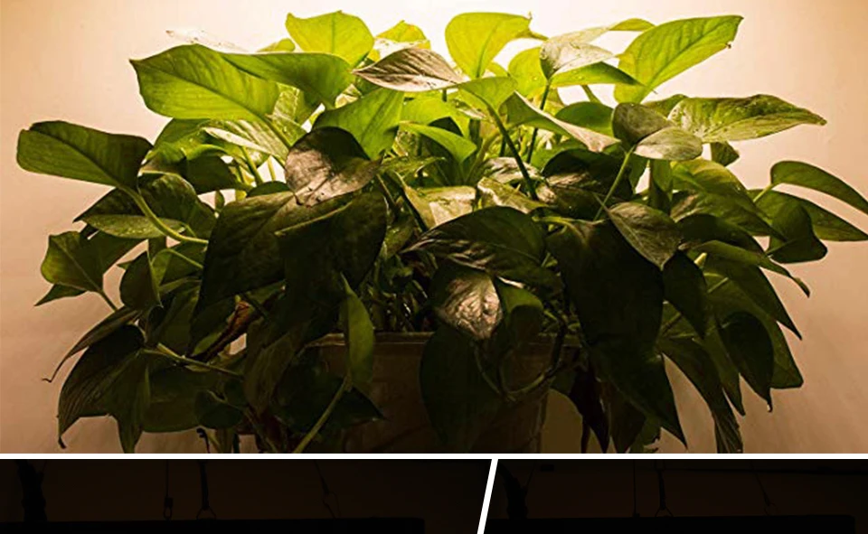 Светодиодный свет для выращивания полного спектра 900 Вт 300 светодиодный s фитоламп лампа для выращивания растений комнатный гроутент рассады цветок фитолампия растительная лампа