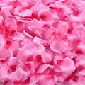 Pink red