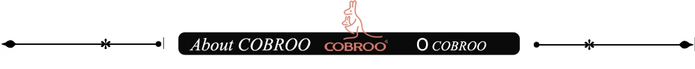 5.About COBROO