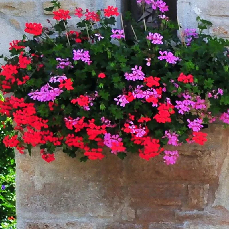 Mediterranean-Garden-Photo-Mural-Wallpaper-Modern-Cafe-Restaurant-Bedroom-Backdrop-Wall-Home-Decor-3D-Landscape-Wallpaper (4)