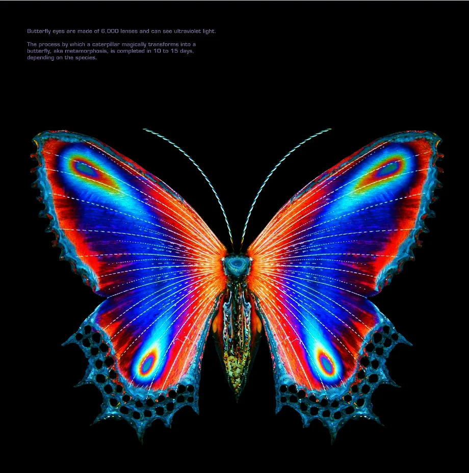 white mickey mouse jumper