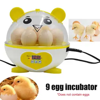

9 Partition Digital Display LED Indicator Quail Automatic Thermostat Transparent Electronic Eggs Incubator Birds Mini Brooder