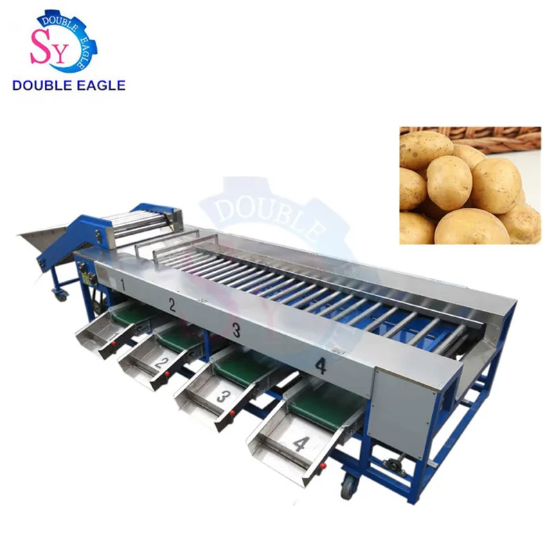 

5T/H High efficiency Date Palm/Olive Grading Machine/Citrus Grapefruit Size Washing drying waxing sorting processing equipment