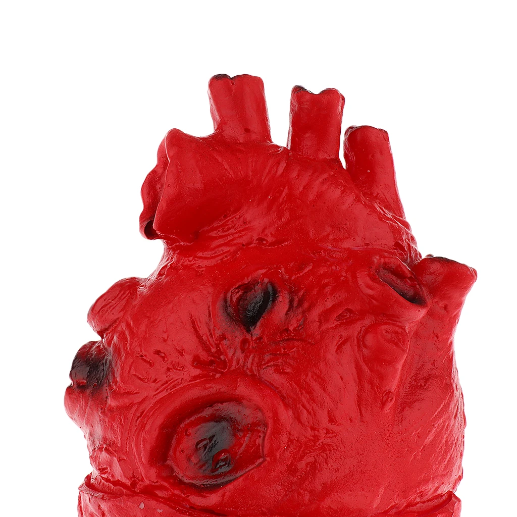 HUMAN HEART--Chop Shop Body Part Organ Halloween Horror Prop Decorations