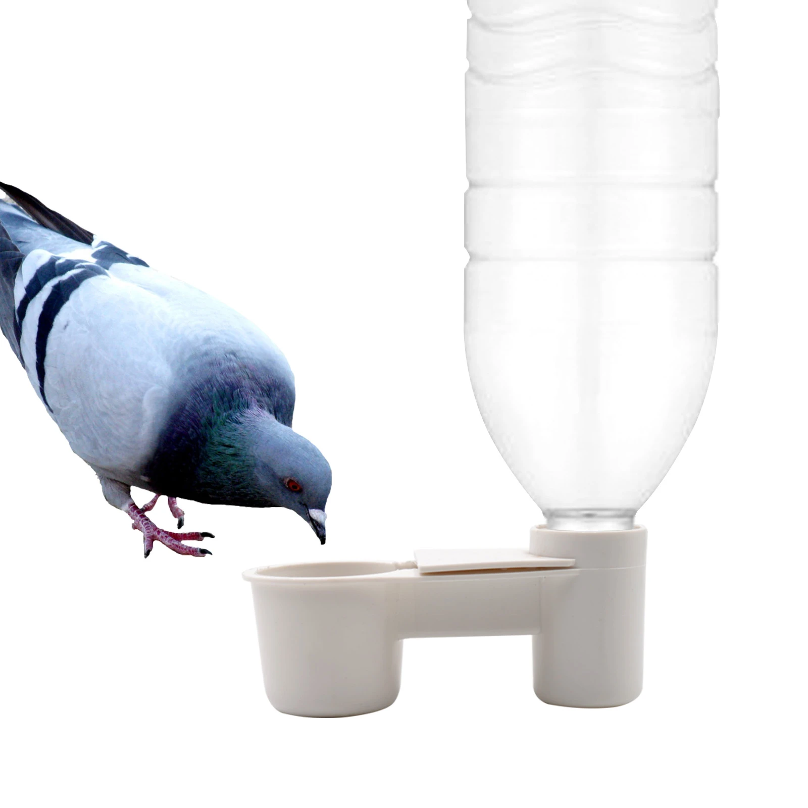 Bouteille Fabriquer Un Abreuvoir Pour Oiseaux Mangeoire en plastique pour oiseaux de compagnie, bouteille d'eau, tasse  jetable pour chat, pigeon, perruche, chaud pour pigeon, maison, jardin |  AliExpress