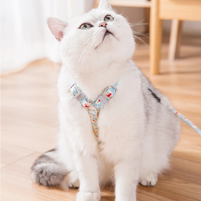 Comfortable Floral Cat Harness Bow Pet Leashes Chest Adjustable Harness Flower Cats Leashes Walk Chest Strap For Cat Collars Comfortable Floral Cat Harness Bow Pet Leashes Chest Adjustable Harness Flower Cats Leashes Walk Chest Strap For Cat Collars