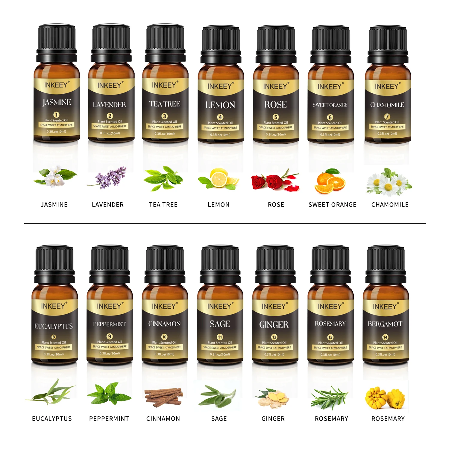 12 Kinds Essential Oils Set 100% Pure Diffuser Oils Lavender Tea Tree Lemon  Rose Sweet Orange Chamomile Eucalyptus Peppermint - AliExpress