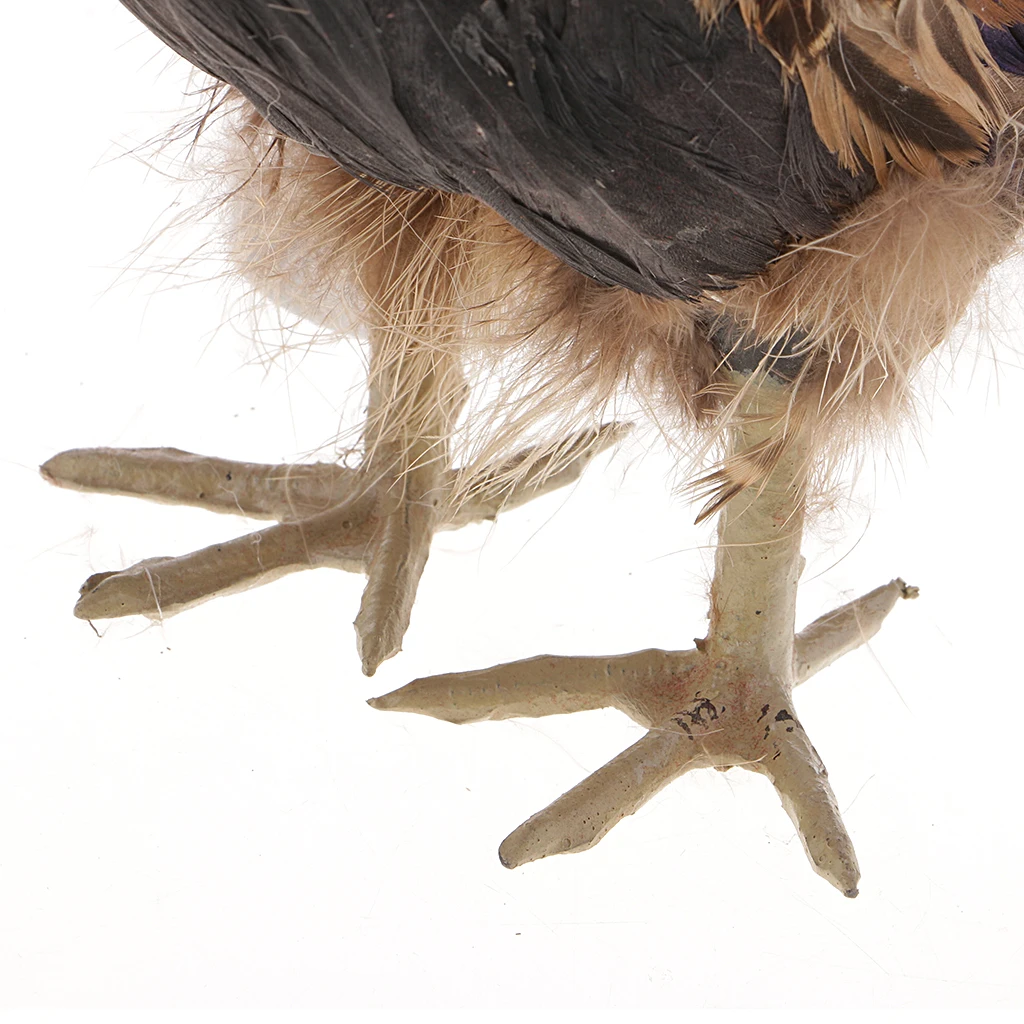 Lifelike Hen Model Farm Life Animal Ornament - Realistic Feather Chicken Figure for Decor