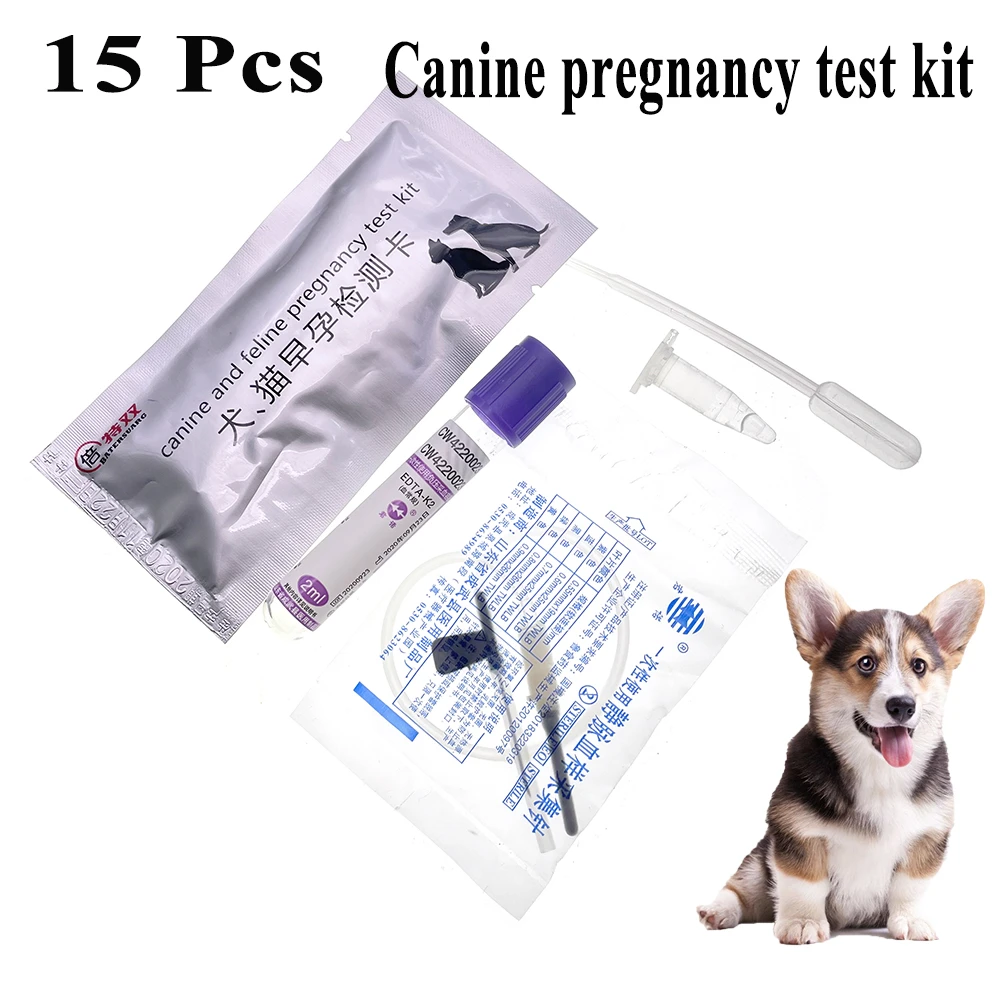 Dog Pregnancy Test Strip Dog Pregnancy Test Card Canine Pregnancy Test