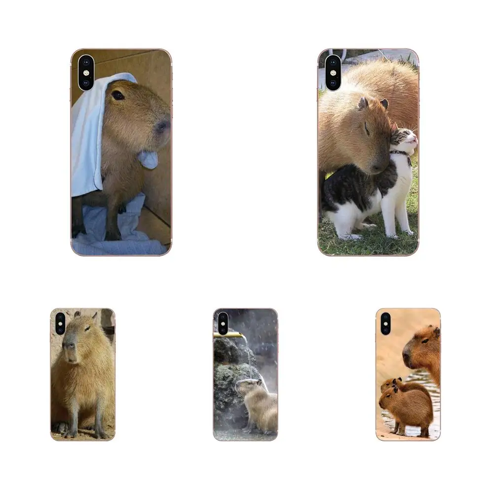 

TPU Fashion Animal Capybara For Huawei Honor 4C 5A 5C 5X 6 6A 6X 7 7A 7C 7X 8 8C 8S 9 10 10i 20 20i Lite Pro