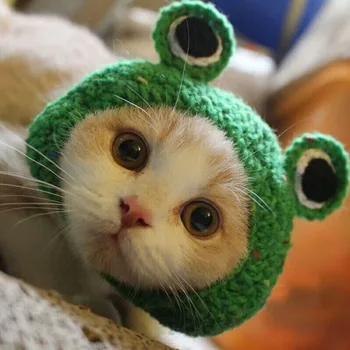 

Hot Sale Hand-knitted Pet Hats Frog Cat Hat ForDog Hat Hairband Dog Cap Green Cute Dog Accessories for Small Dogs Supplies