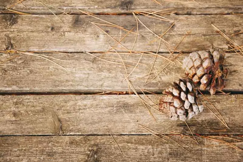 SHENGYONGBAO Vinyl Custom Photography Backdrops Prop Flower Wood Planks Christmas day theme Photo Studio Background DST-01