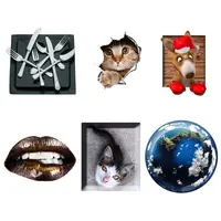 Computer Peripherals