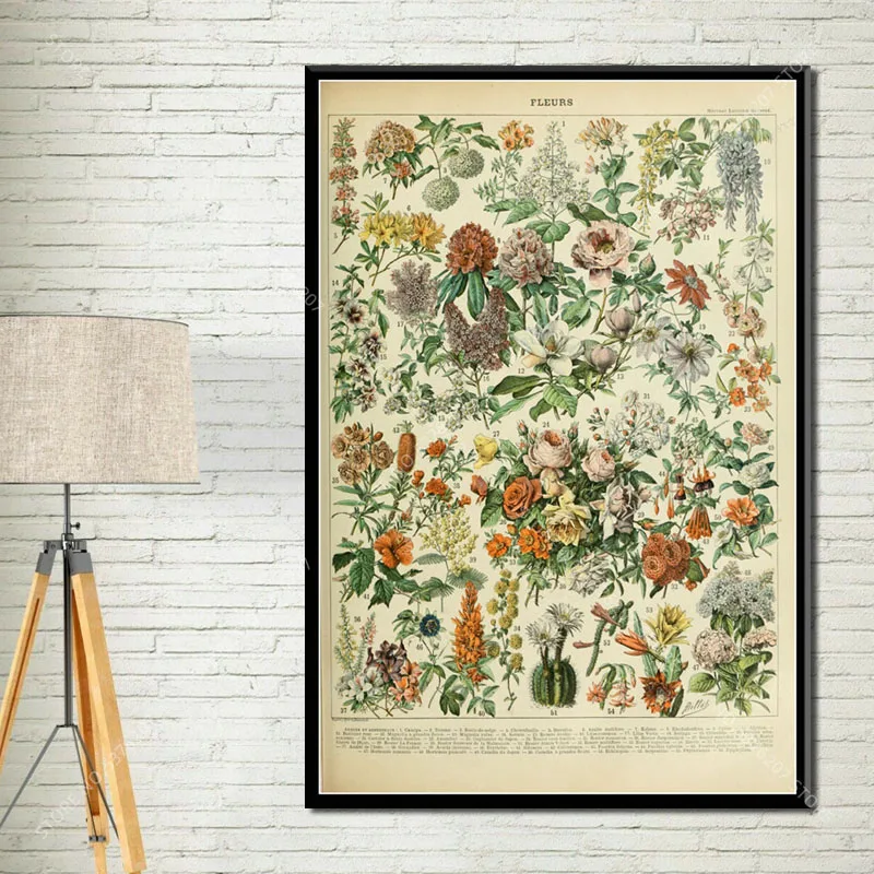 G034 Art Decor Botanical Vegetable Fruit Illustration Vintage Chart Science Wall Art Canvas Painting Silk Poster