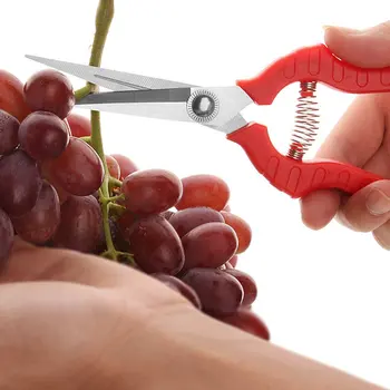

Gardening pruning fruit picking scissors Homeware Kitcken Tools New Hot