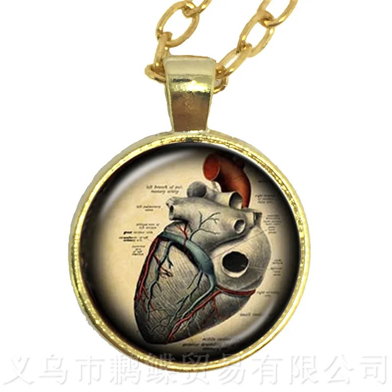 Human Anatomy Organ Necklace Glass Cabochon Science Medical Punk Brain