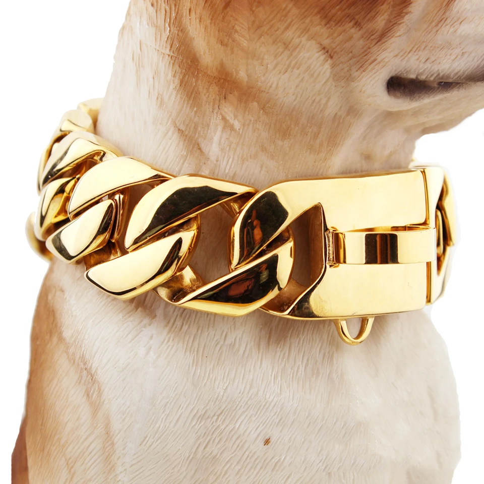 gold choke chain dog collar