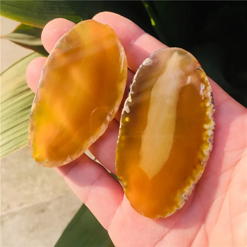 IMG_1396(20201115-083507)