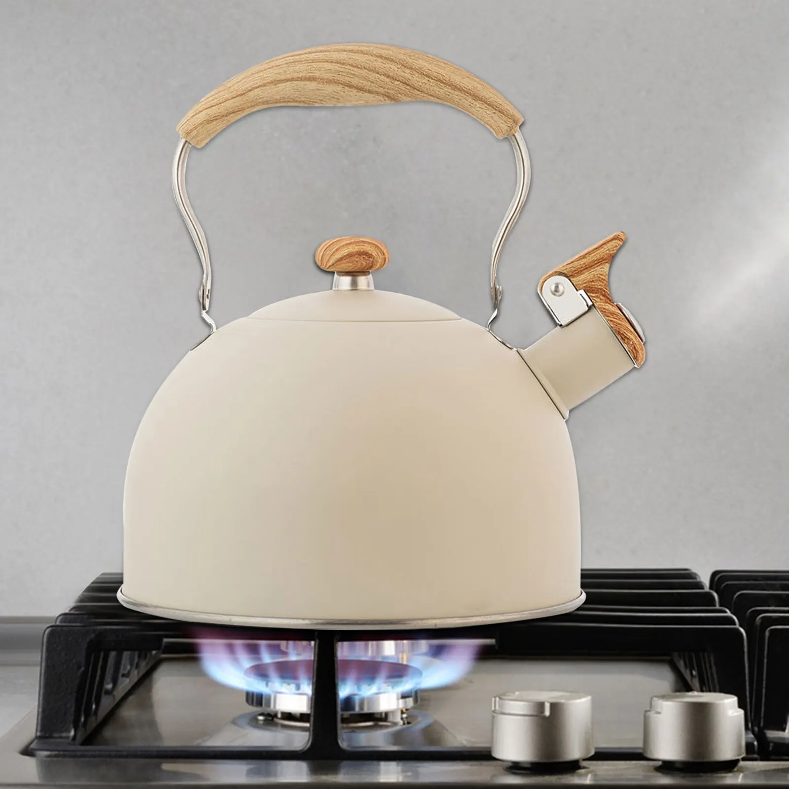 Stove Top Whistling Fancy Tea Kettle Retro 2.5L Stainless Steel