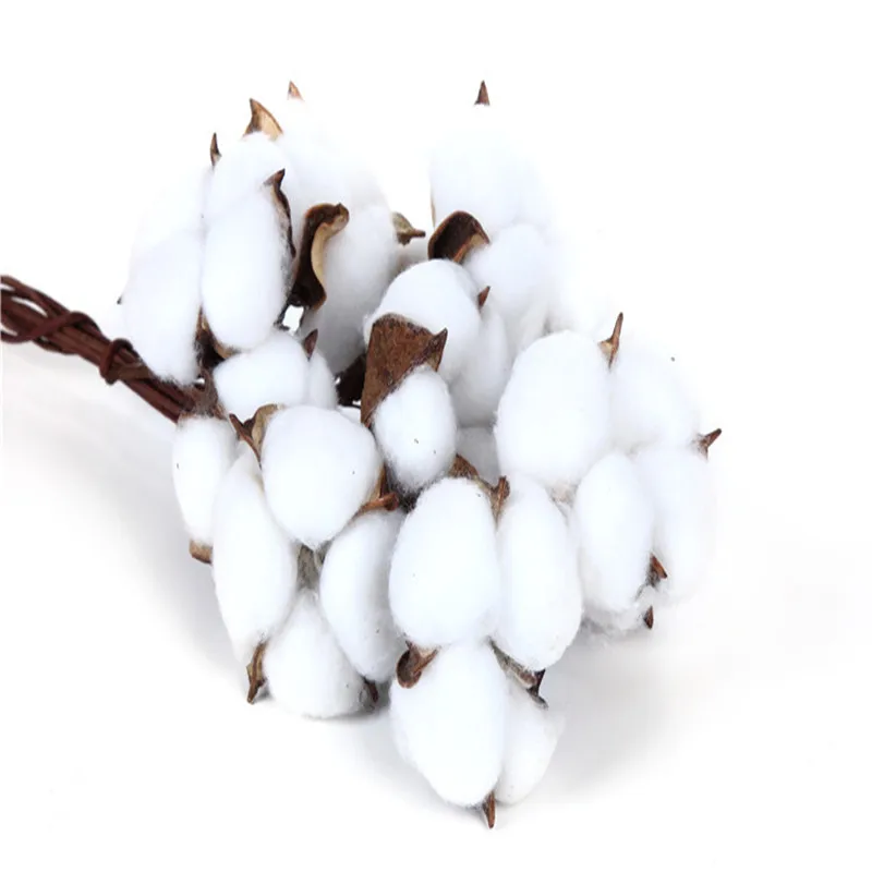 9752536352_1771322019_副本