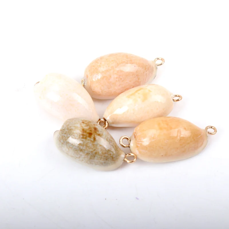 Gold plating Aquarium Beach Nautical DIY conch Colorful Natural Seashells Decorations Scallop conch Crafts Decor Ornament 5Pcs