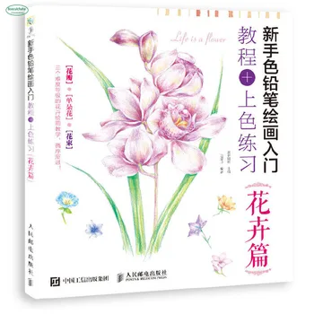 

Flower drawing book Novice Color Pencil Painting Tutorial + Coloring Exercise