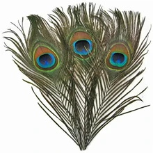 

Moonlight Feather Big Eye Natural Peacock Tail Eye Feathers For Crafts Iridescent Purple Natural Molted Peacock Feathers Decor