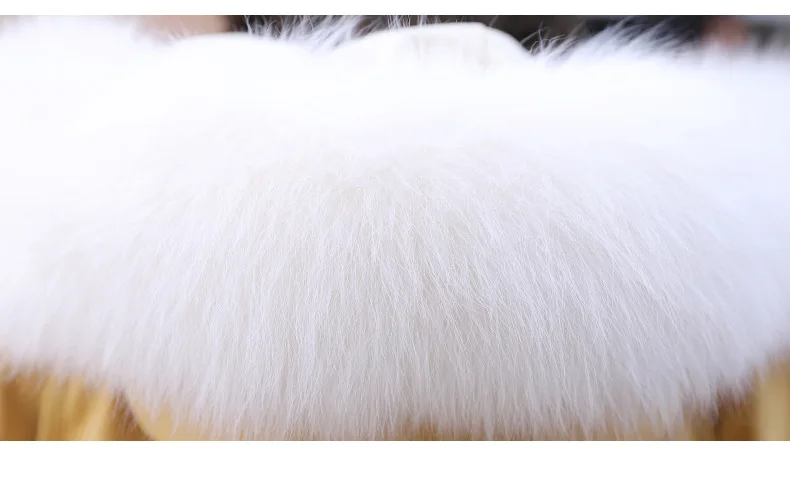 12305497542_802501495