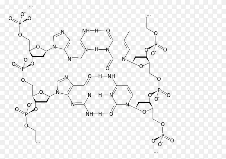 嵌合dna探针辅助连接酶链式反应与电化学传感策略联用对rna单碱基突变的超灵敏检测 X Mol资讯