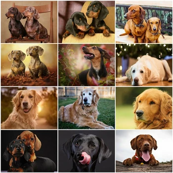 

AZQSD Adult Paint By Numbers Animal Acrylic Paint Unframe Home Decor DIY Oil Painting By Numbers Dogs Unique Gift