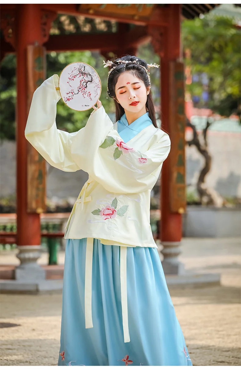 Женский Hanfu Традиционный китайский древний народный танцевальный костюм праздничный наряд Мин Цин вышивка принцесса фея платье набор DL4993