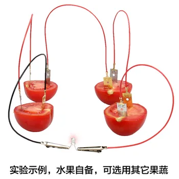 

Fruit Power Generation Salt Water Students Technology Small Primary Battery Experiment Set Children's Educational Materials